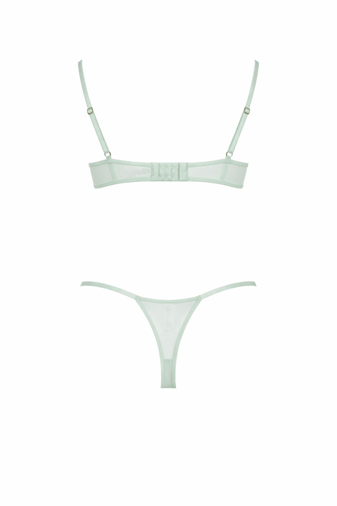 Tulle Sheer Underwired Bra and Panty Set