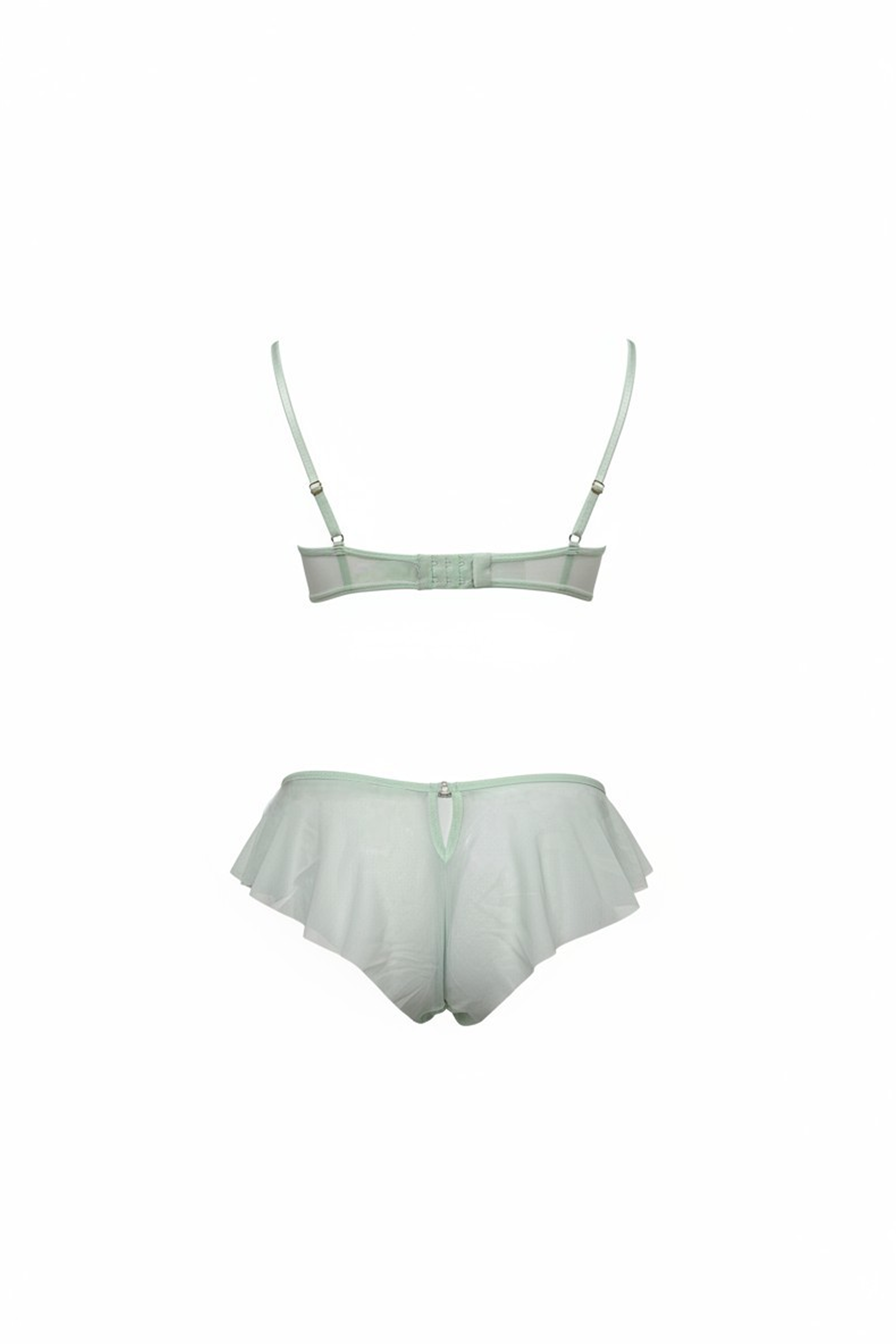 Tulle Transparent Underwired Bra and Flared Brazilian Brief Set